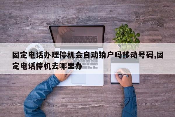 固定电话办理停机会自动销户吗移动号码,固定电话停机去哪里办
