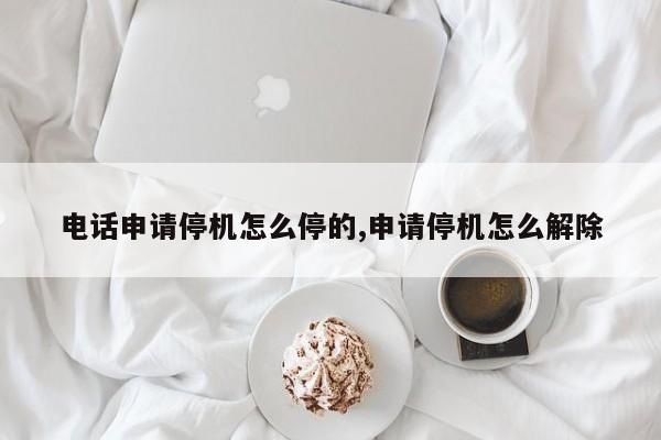 电话申请停机怎么停的,申请停机怎么解除
